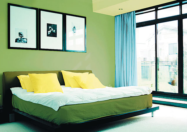 硅藻泥，綠色環保壁材